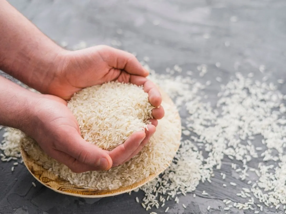 Indonesia Directs 68% of Stimulus to Rice Handout Program