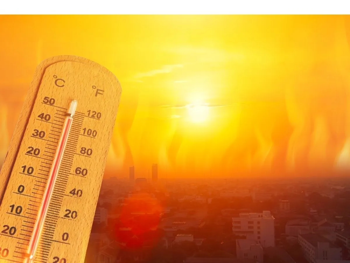 Europe's deadly heat wave kills over 1,300 in one week